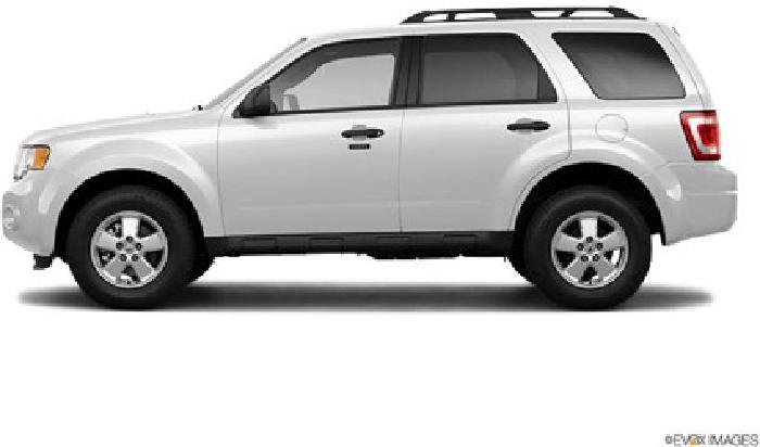 2011 ford escape xlt in tampa, fl
