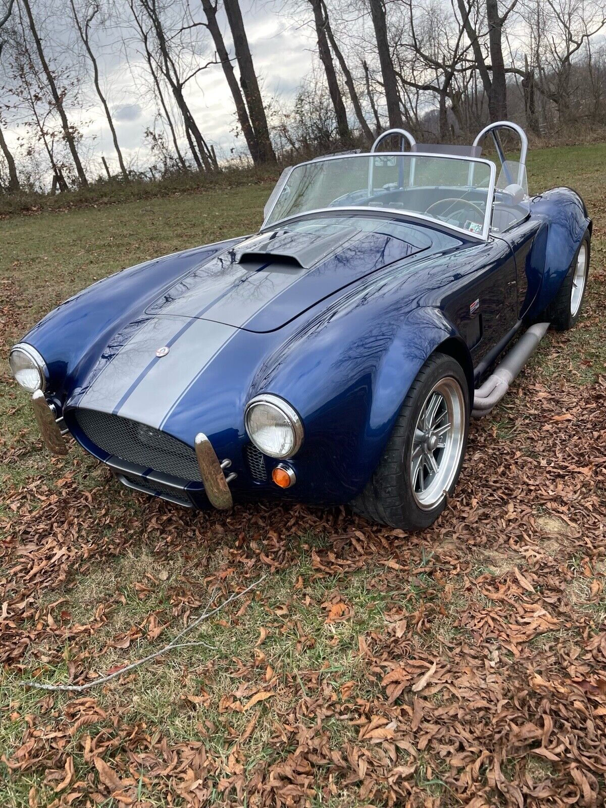 1965 ac cobra