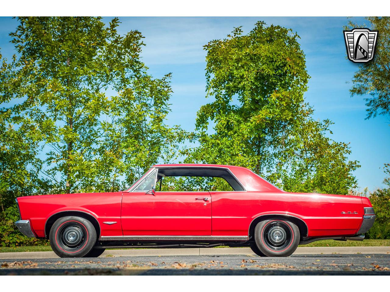1965 pontiac gto