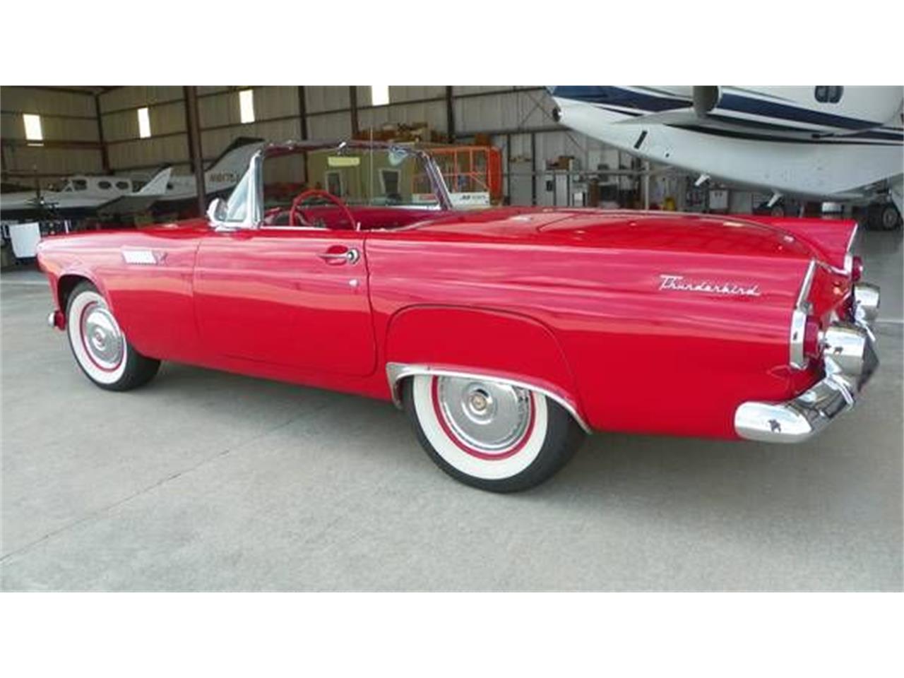 1955 ford thunderbird