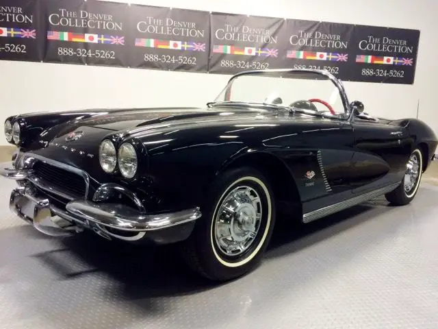 black beauty