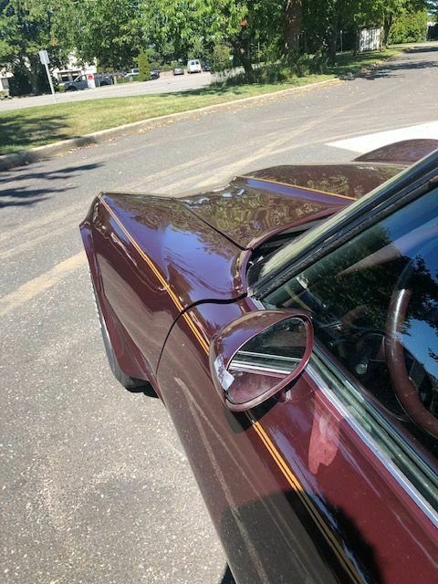 1980 chevrolet corvette l-48 (no reserve)