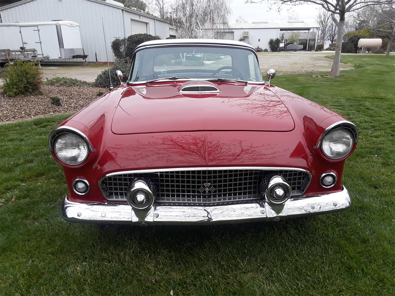 1955 ford thunderbird