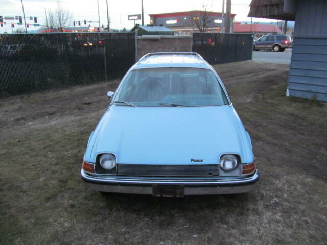 original amc woody wagon
