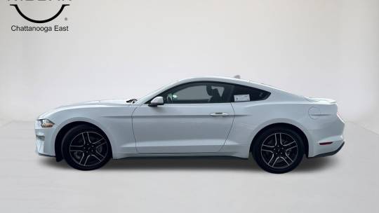 2023 Ford Mustang ecoboost