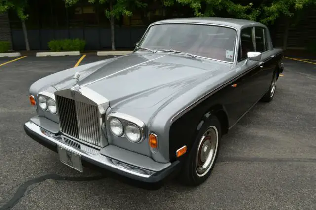 a darling & excellent example! a gorgeous shadow ii from america's best in rr