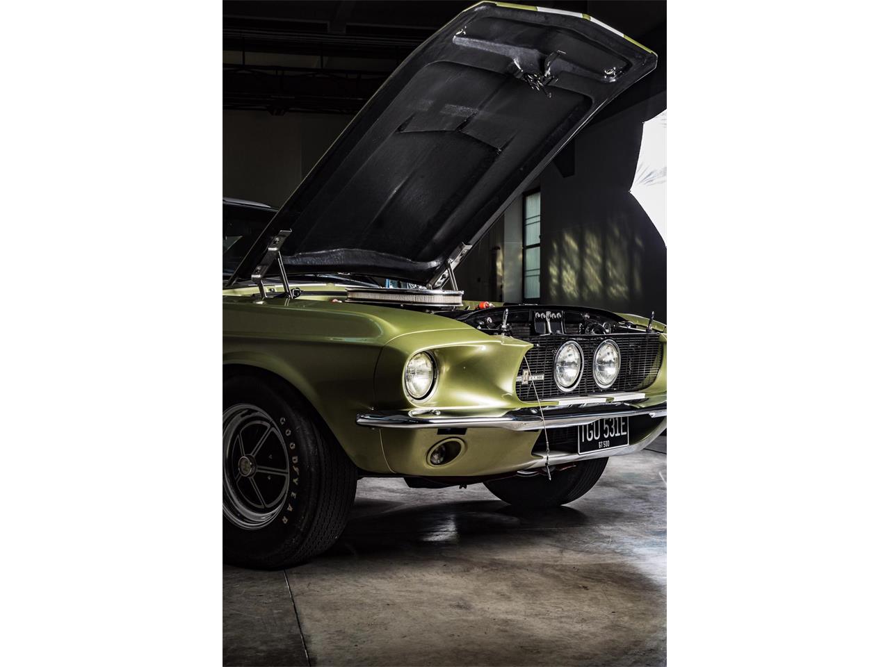 1967 shelby gt500