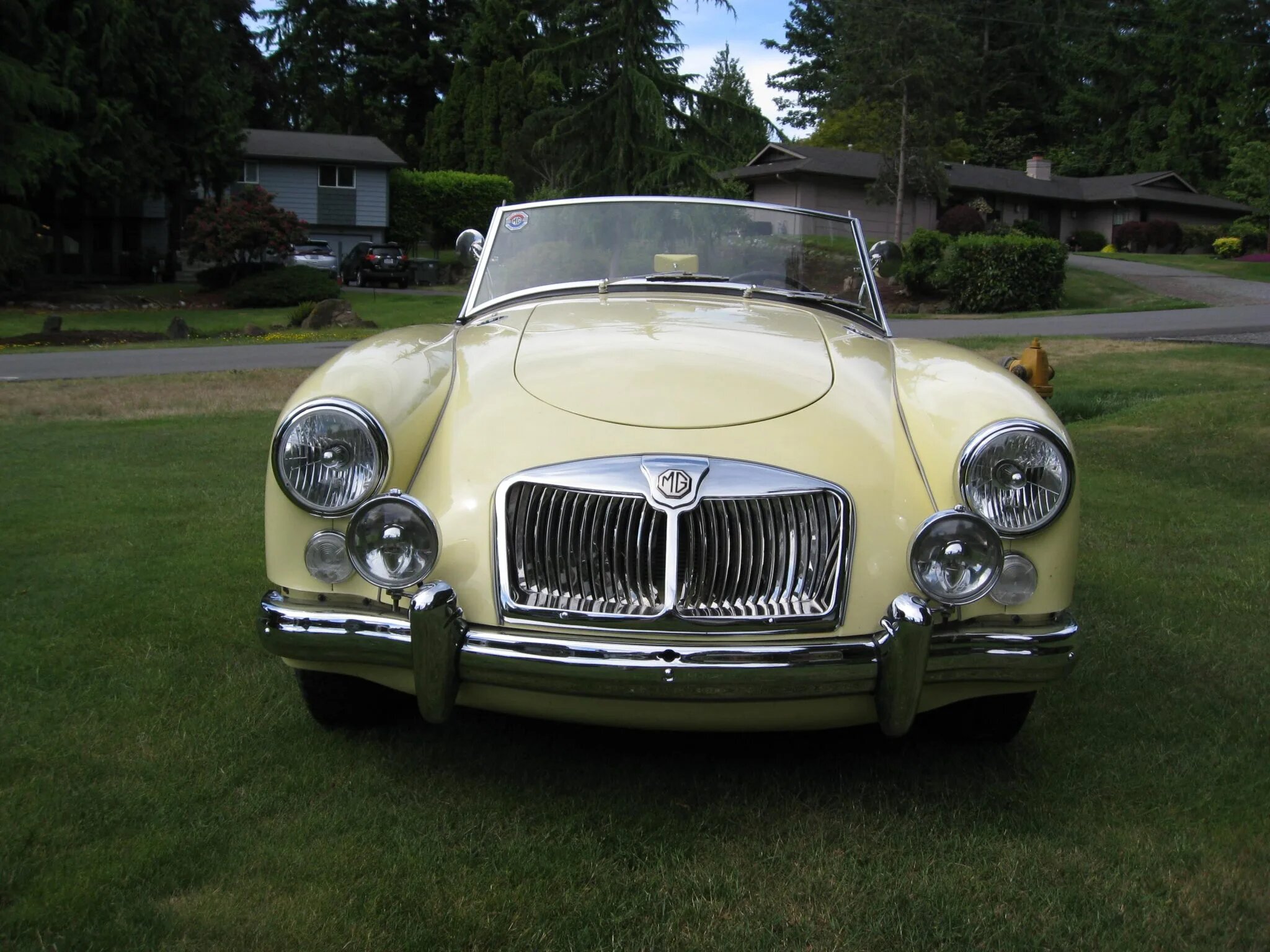 mg mga 1600