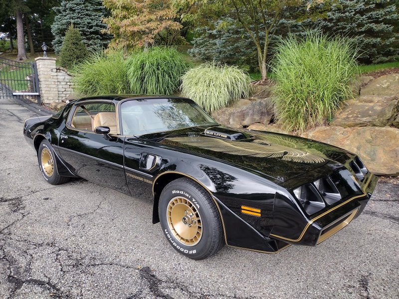 1981 pontiac firebird trans am