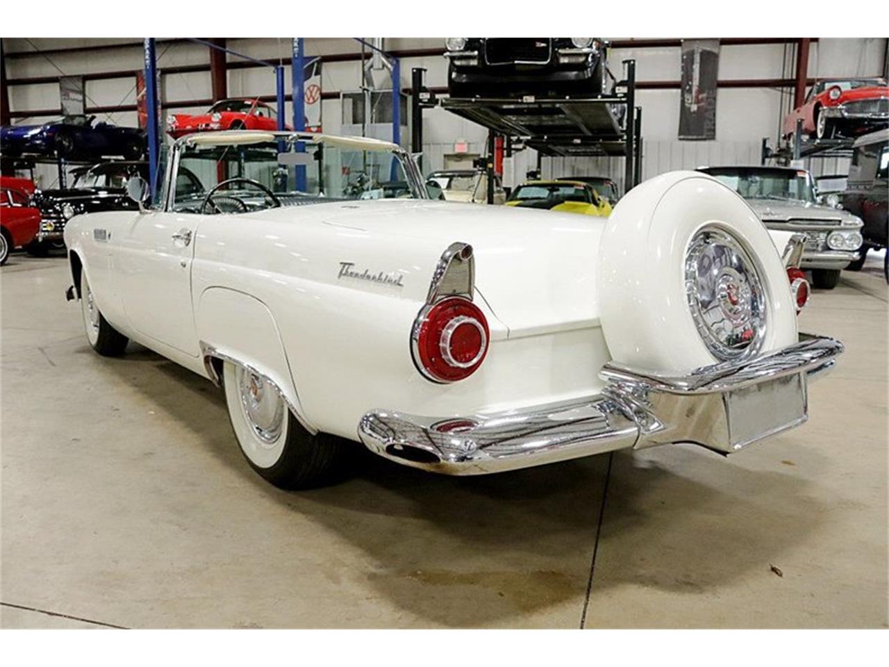 1956 ford thunderbird