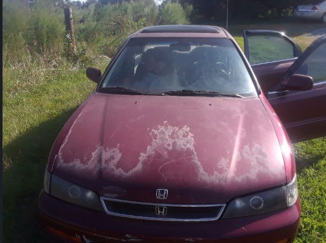 1995 honda accord for sale in south carolina by owner