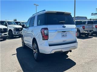 2021 Ford Expedition platinum