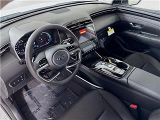 2024 Hyundai Tucson blue