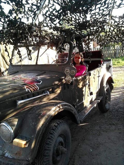 1967 GAZ metal