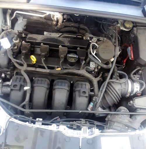 2012 ford focus se for sale in florida by owner