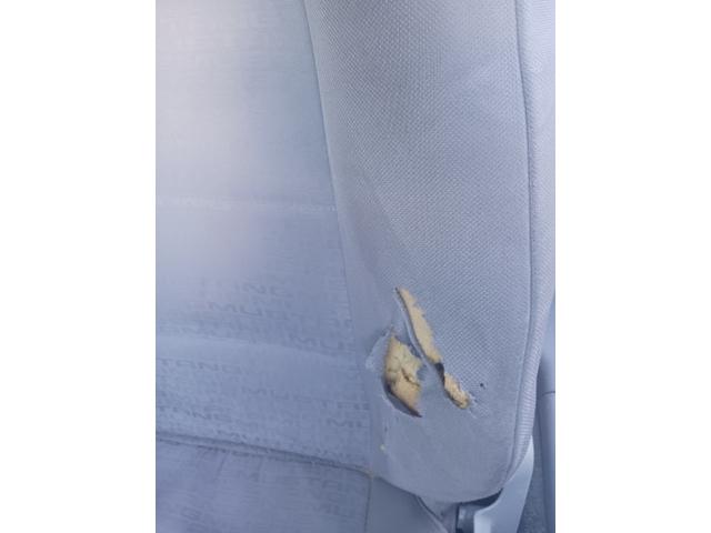2009 ford mustang base