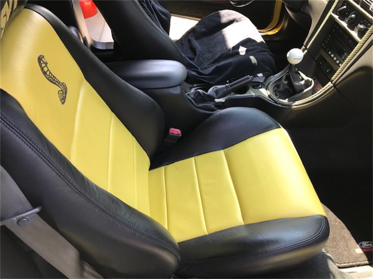 2003 ford mustang cobra
