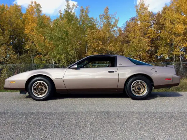 1983 pontiac firebird s/e - original one owner - rarer than trans am