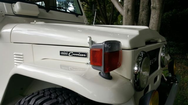 delta mini cruiser 12r engine, fully restored "collectors/rare"