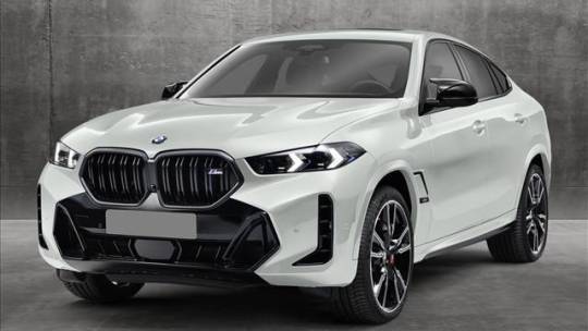 2024 BMW X6