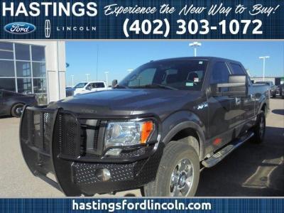2010 ford f-150 platinum 4x4 platinum 4dr supercrew styleside 6.5 ft. sb for sale in good samaritan village, nebraska