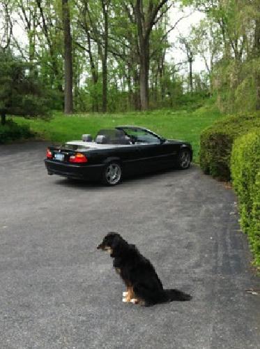obo bmw 330 ci convertable in reading, pa
