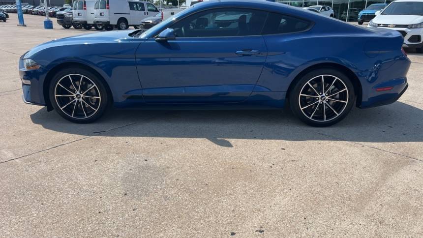 2023 ford mustang ecoboost