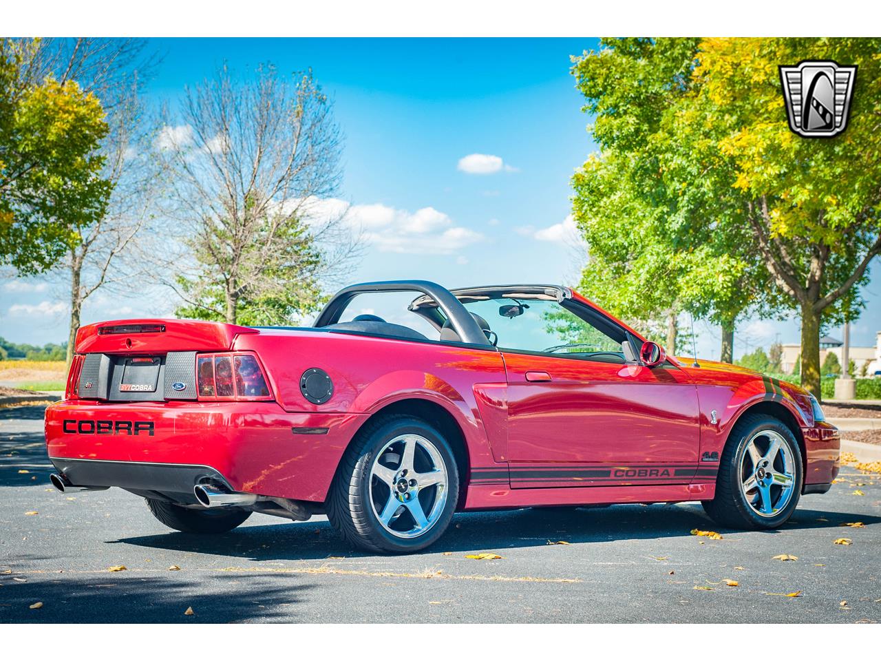 2003 ford mustang
