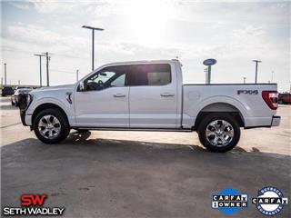 2021 Ford F-150 platinum