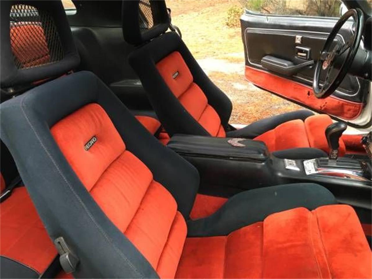 1981 pontiac firebird