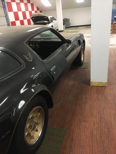 1976 50th anniversary edition pontiac firebird trans am 455 4-speed
