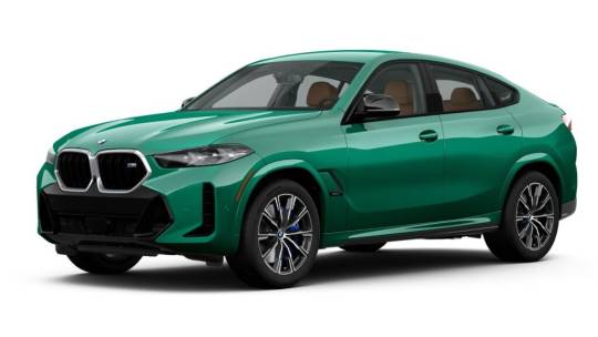 2025 BMW X6