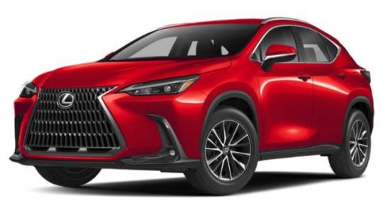 2025 Lexus NX