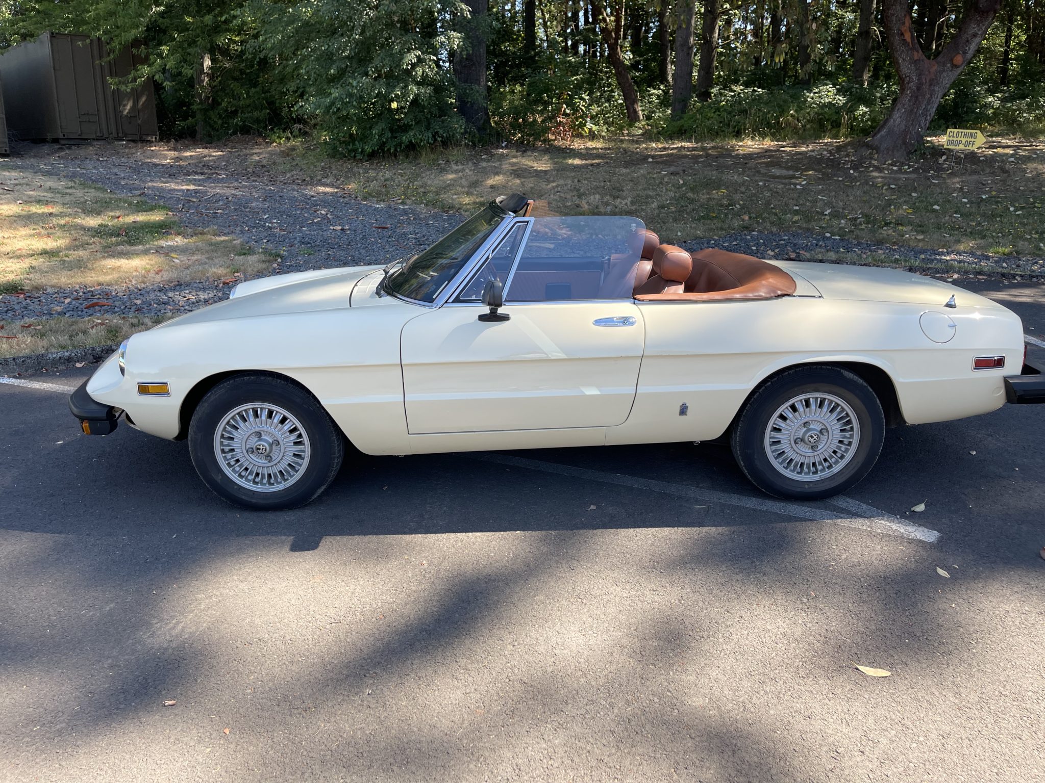1978 alfa romeo spider