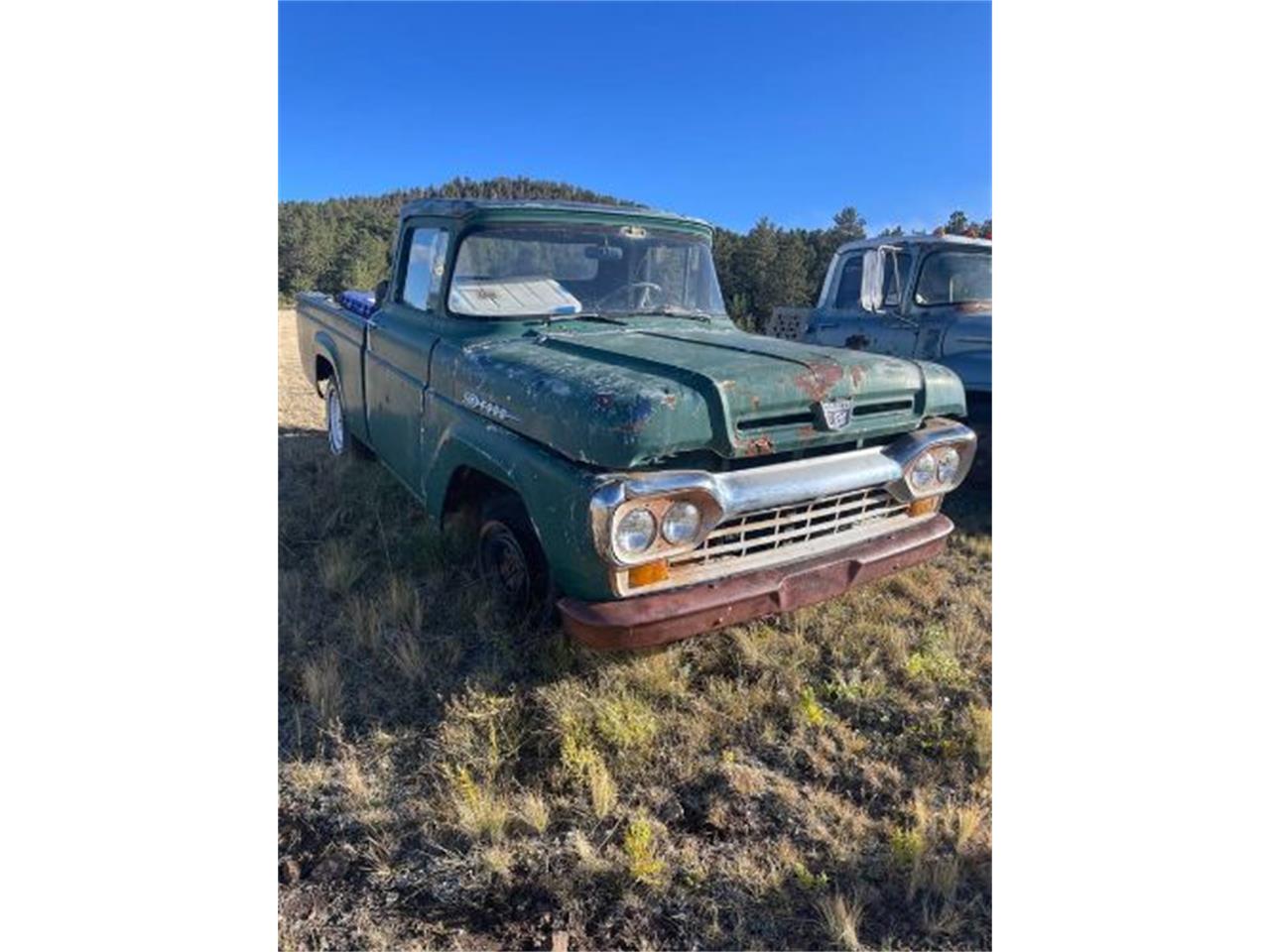 1959 ford f100