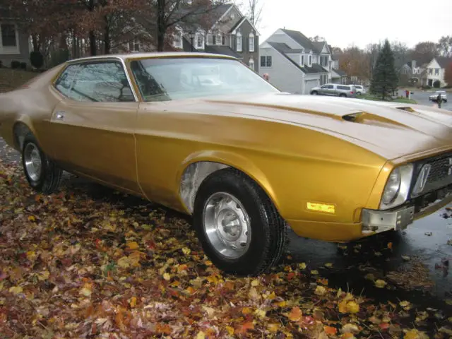 1973 ford mustang base fastback 2-door 5.0l