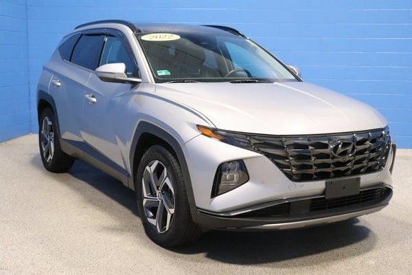 2022 hyundai tucson in burnips, michigan