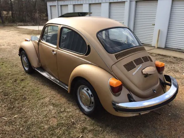 volkswagon super beetle bug