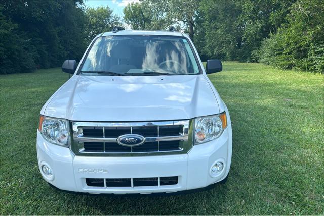 2008 ford escape xlt