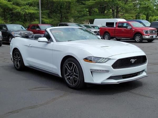 2022 ford mustang in denver, colorado