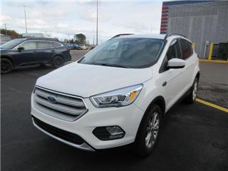 2019 Ford Escape sel