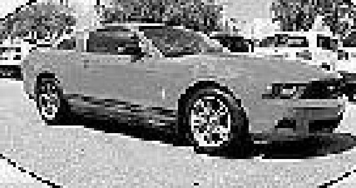 ford 2010 mustang in tampa, fl