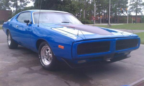 1973 dodge charger ( not running atm, but can very easily )