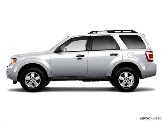 2010 ford escape xlt in tampa, fl