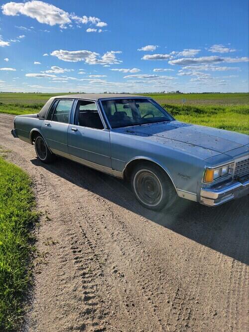 caprice classic