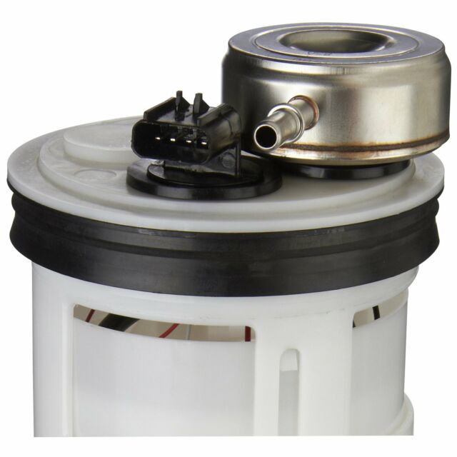 lifetime warranty & free return
