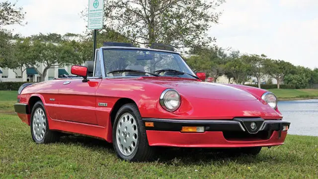 1986 alfa romeo spider quadrifoglio verde "spectacular restoration, no reserve