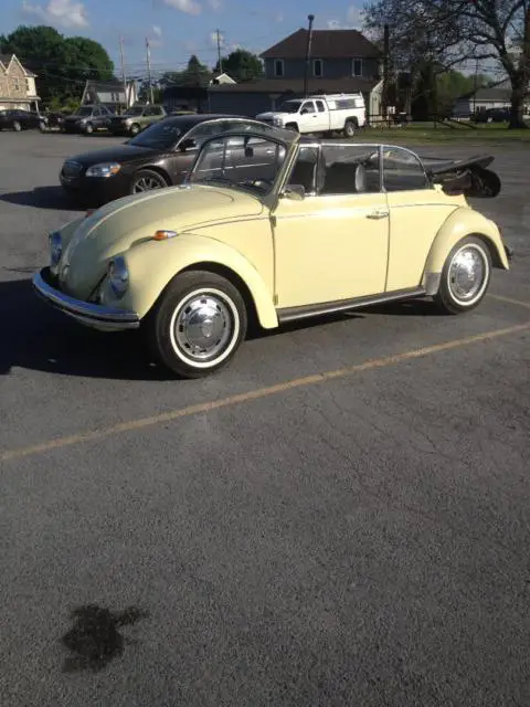 volkswagen beetle - classic beetle - classic vw