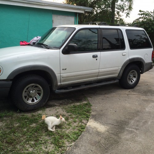 2001 ford explorer xls for sale in florida by owner