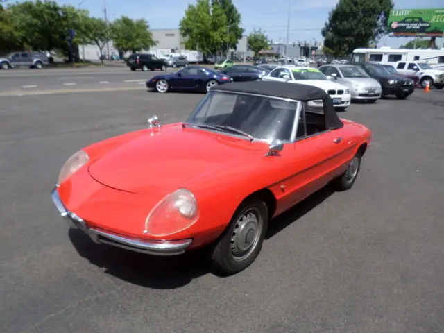 1966 alfa romeo duetto spider 1600